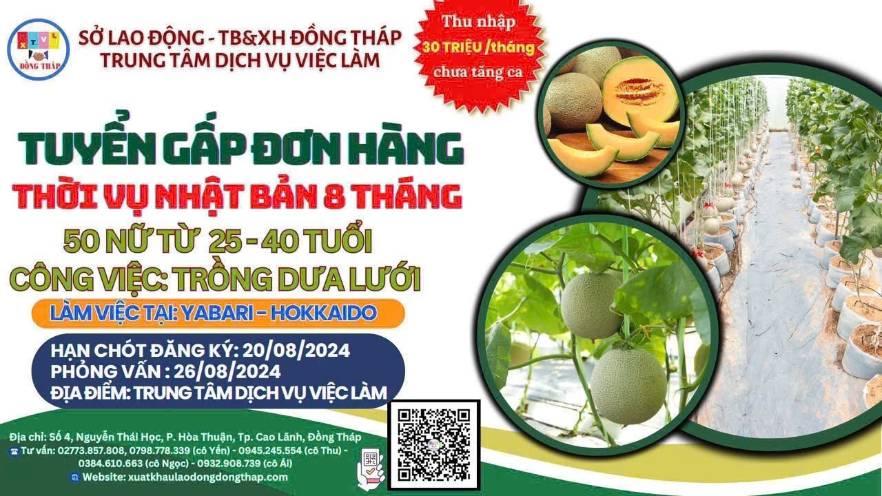 TUYỀN GẤP ĐƠN HÀNG THỜI VỤ NHẬT BẢN 8 THÁNG 